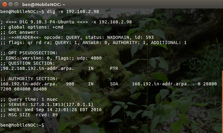 expressway-e.destephen.com DNS PTR Query