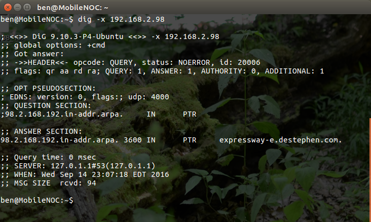 Confirmation of PTR Configuration from OSX/Linux